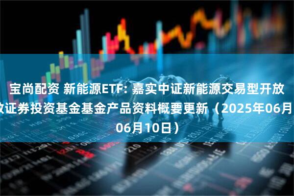宝尚配资 新能源ETF: 嘉实中证新能源交易型开放式指数证券投资基金基金产品资料概要更新（2025年06月10日）