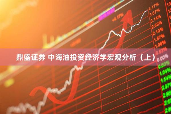 鼎盛证券 中海油投资经济学宏观分析（上）
