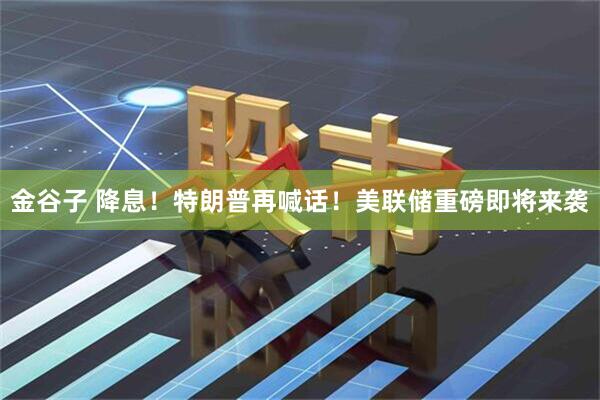 金谷子 降息！特朗普再喊话！美联储重磅即将来袭
