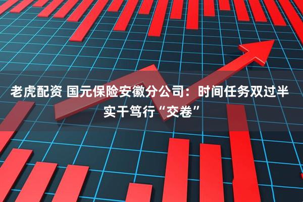 老虎配资 国元保险安徽分公司：时间任务双过半 实干笃行“交卷”