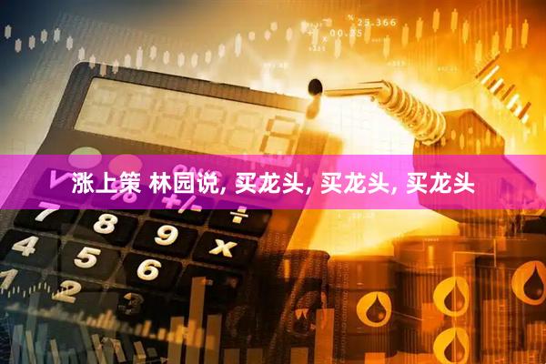 涨上策 林园说, 买龙头, 买龙头, 买龙头