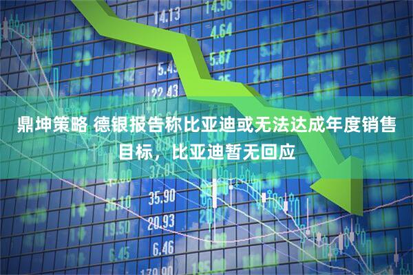 鼎坤策略 德银报告称比亚迪或无法达成年度销售目标，比亚迪暂无回应